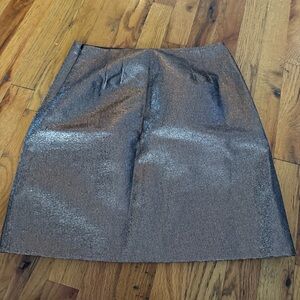 Elegant Loft Silver Shimmery‎  Skirt